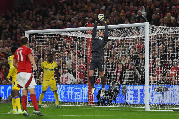 侵略性与耐 侵略性与耐