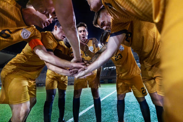 家媒体的消 家媒体的消